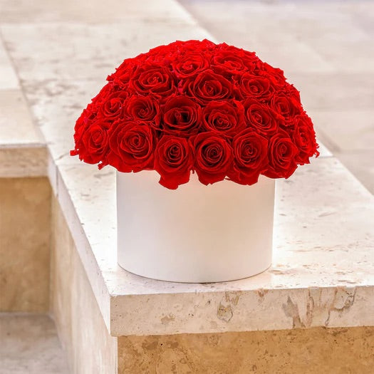Ophelia Large Box 50 Roses